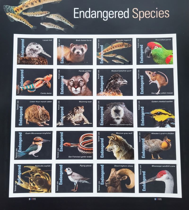 1st Class Stamps Endangered Species <span class="cc-gallery-credit"></span>